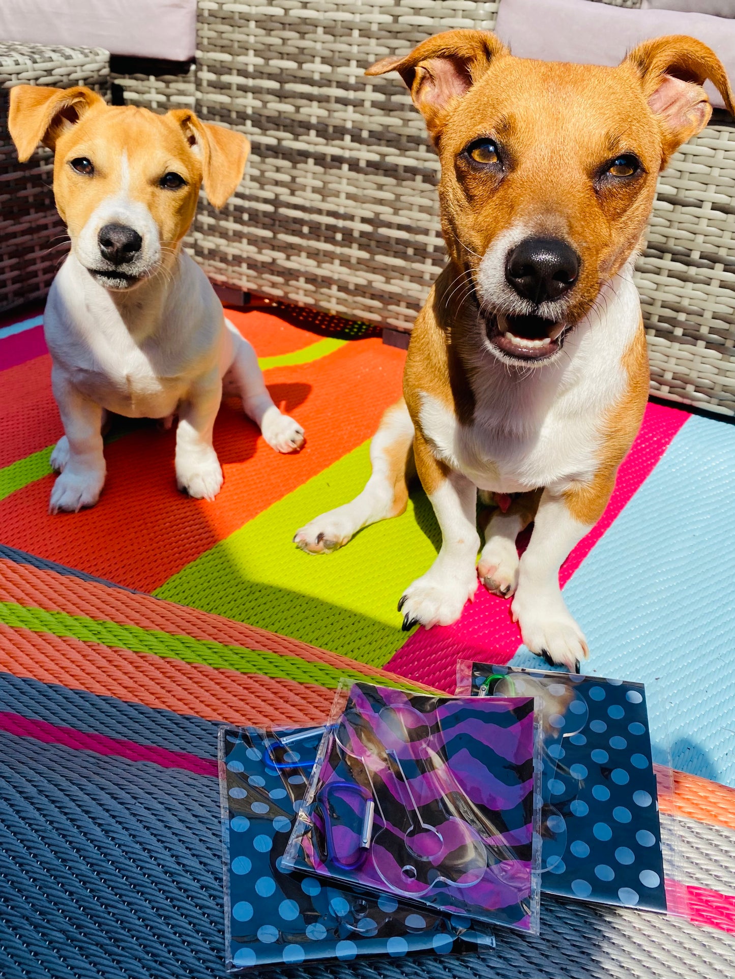Poo bag holders - Lilybet loves